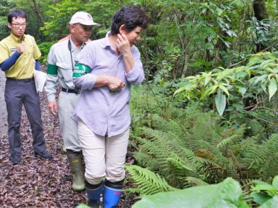 違法採集対策を強化