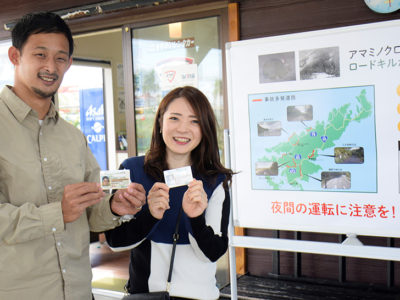 ロードキル防止に一役