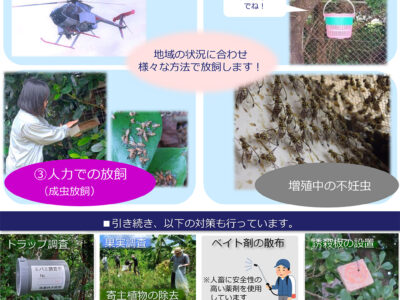 セグロ、モニタリングに差