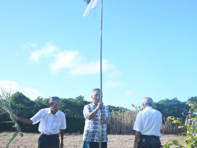 与論島で「シニグ」