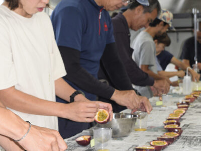 瀬戸内町産パッション