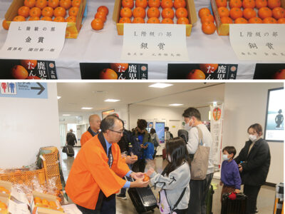 「奄美のおいしいタンカン味わって」