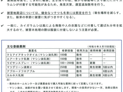 沖縄県でもＣＡＳ被害確認