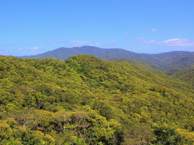 山々に鮮やかな新緑輝く