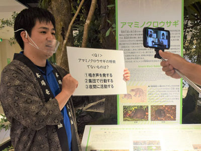 奄美市、寄付者らとオンラインで交流