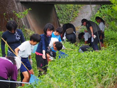 阿室川で生き物調査