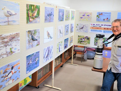 徳之島町の指宿さん　祝・世界自然遺産登録写真展