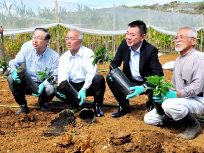 ＡＧＦ実証農場「苗植え式」