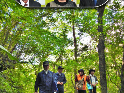 門扉・施錠で保護強化