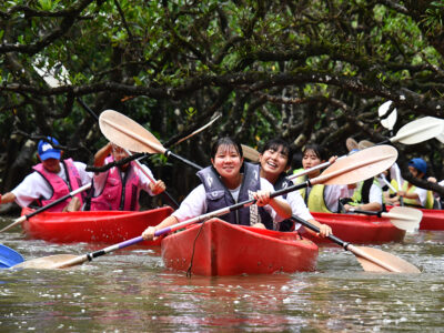 マングローブ原生林　古仁屋高生がカヌーツーリング
