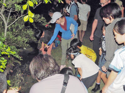 シロアゴガエル「見分ける」講座