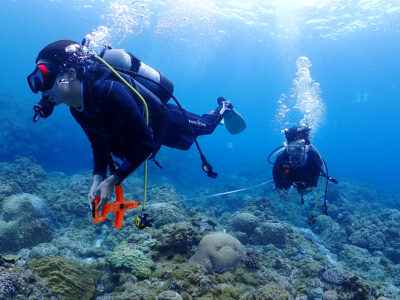 喜界島サンゴ研　荒木沖でリーフチェック