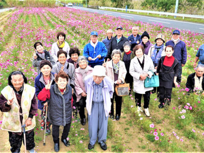 コスモス畑に笑顔の花