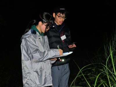 オオトラツグミ調査