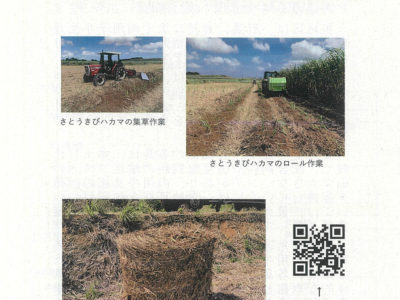 粗飼料増産で経営安定