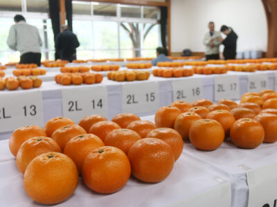 金賞　喜界がダブル受賞