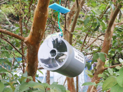 秒読み緊急防除解除