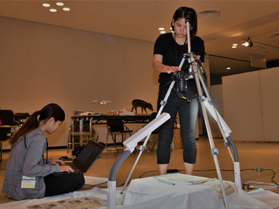 大学生４人　奄美博物館で実習