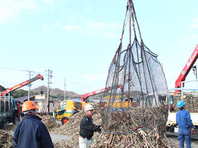 富国製糖も操業開始