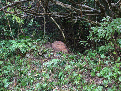 ろ過池と取水口も現存