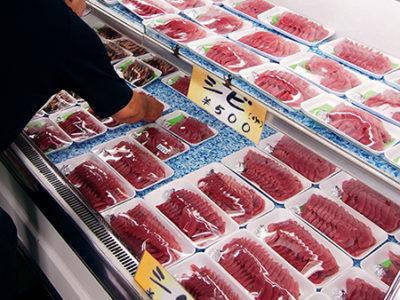 「ようやく漁が再開」