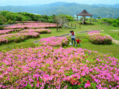薄紅色に染まる