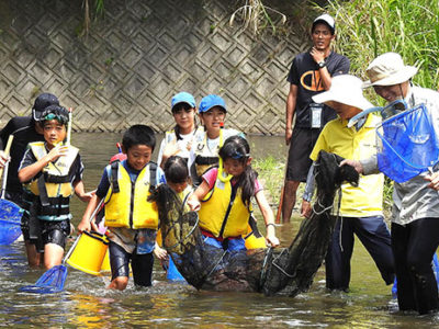 三京川の生物観察会