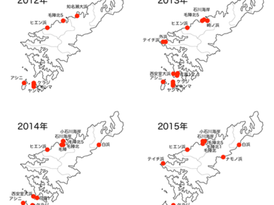 ウミガメ卵食害率　過去最大の24・８％