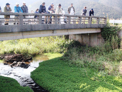 特定外来生物駆除へ研修