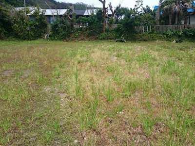 ゲートボールコート、用集落で復活