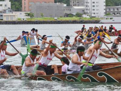 奄美まつり舟こぎ競争