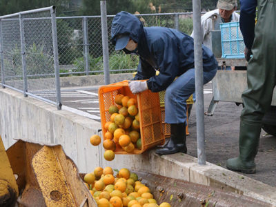 緊急防除委託料を活用