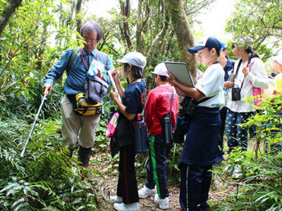 奄美大島最高峰で自然観察