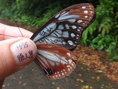 石川県から１１９７㌔移動