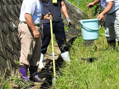 「アメリカザリガニ」侵入・繁殖