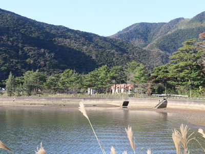 かがやき（上）