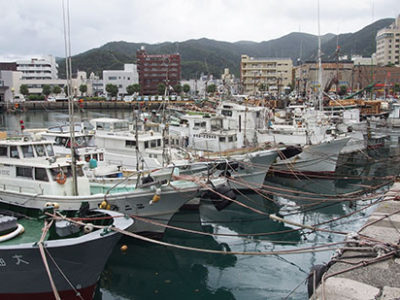 旧盆から続く不出漁