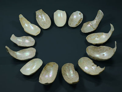 出土品を国指定重要文化財に