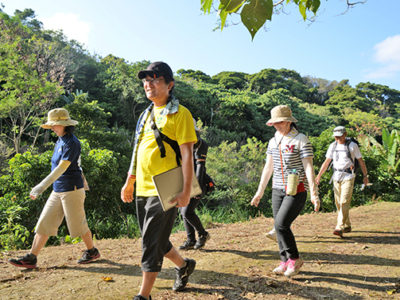和泊町で世界自然遺産トレイル