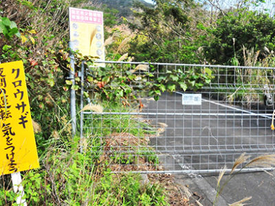 第１回徳之島利用適正化連絡会議