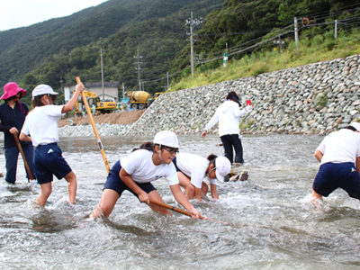 リュウキュウアユ産卵地作り