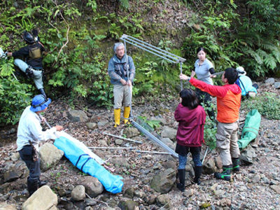 コウモリ研究で来島