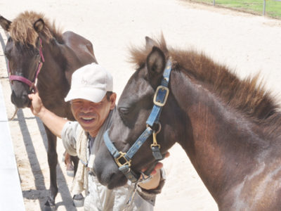 あやまる牧場、２７日オープン
