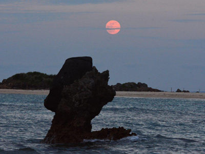 今年最小の満月観測