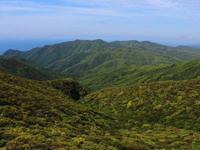 自然遺産登録前進に喜び