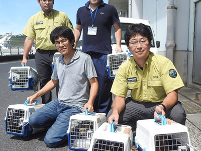 元ノネコ ７匹鹿児島へ