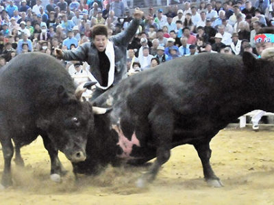 徳之島闘牛ＧＷ場所