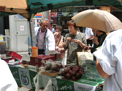 日本一の生産地を目指して