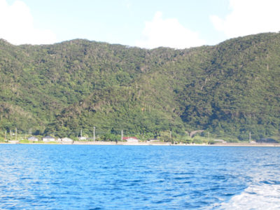 解除の先に（上）　ミカンコミバエと奄美大島