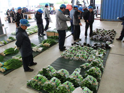 地元市場タンカン取扱大幅減